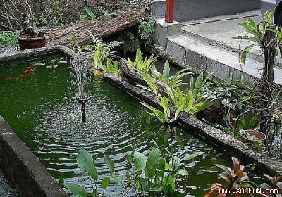 Khu vườn bí mật...